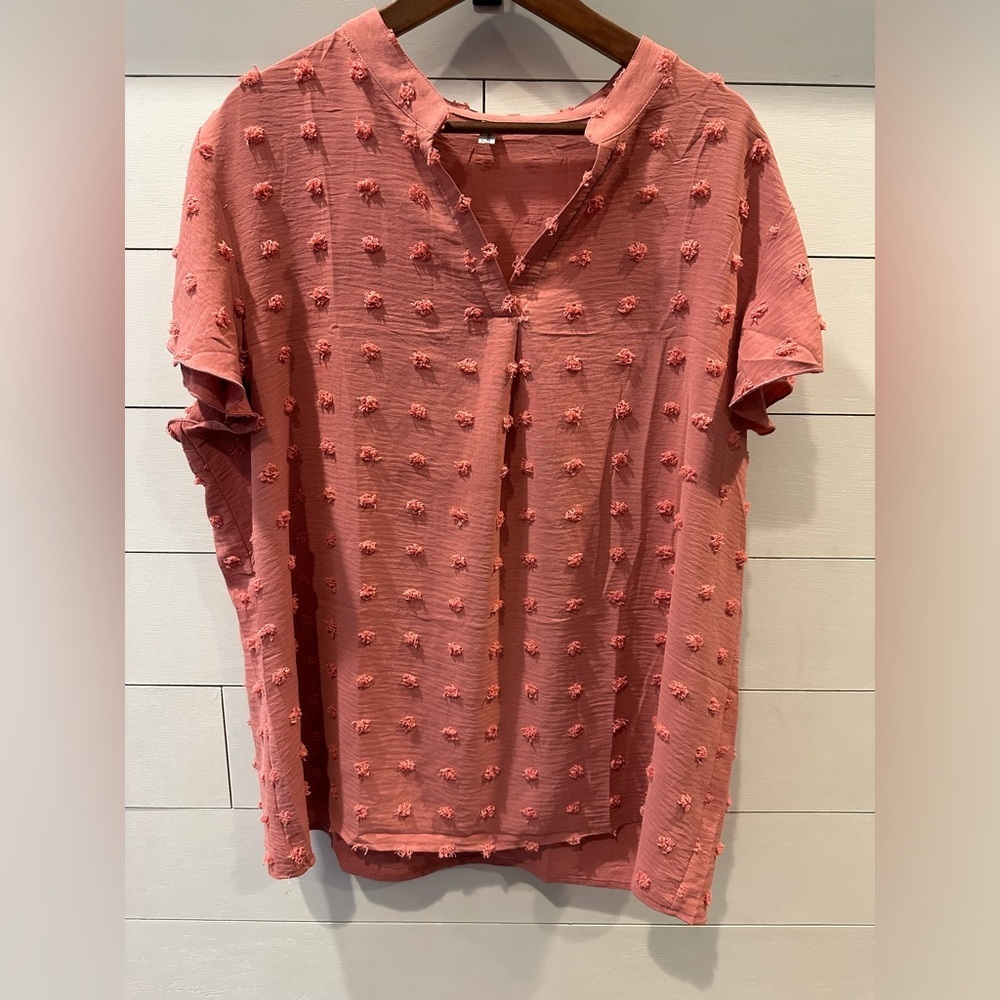 Swiss dot V-neck blouse, Textured Pink Women's Top- size 2XL